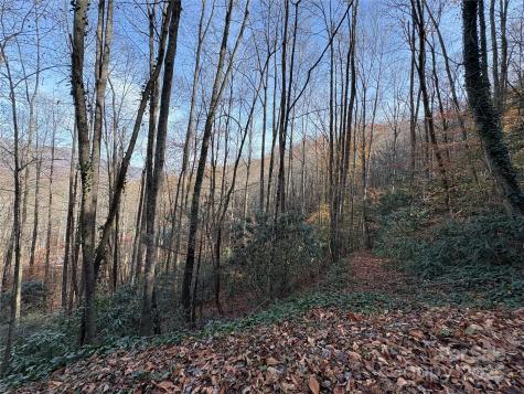 Trail 6 Little Bit Trail Whittier NC 28789