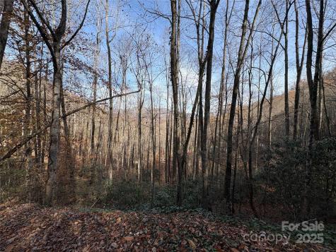 Trail 6 Little Bit Trail Whittier NC 28789