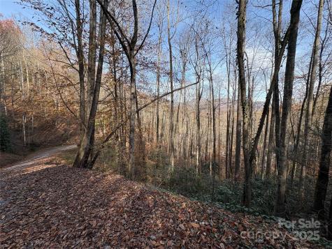 Trail 6 Little Bit Trail Whittier NC 28789