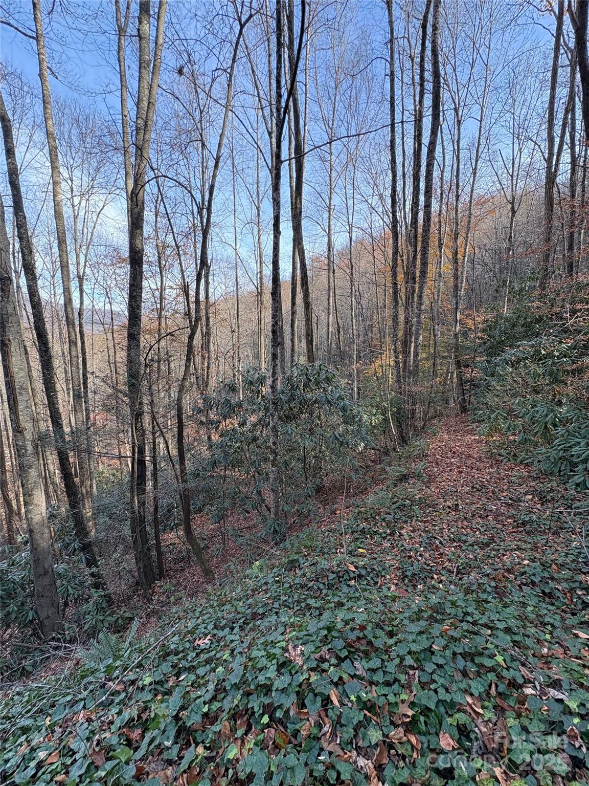 Trail 6 Little Bit Trail Whittier NC 28789