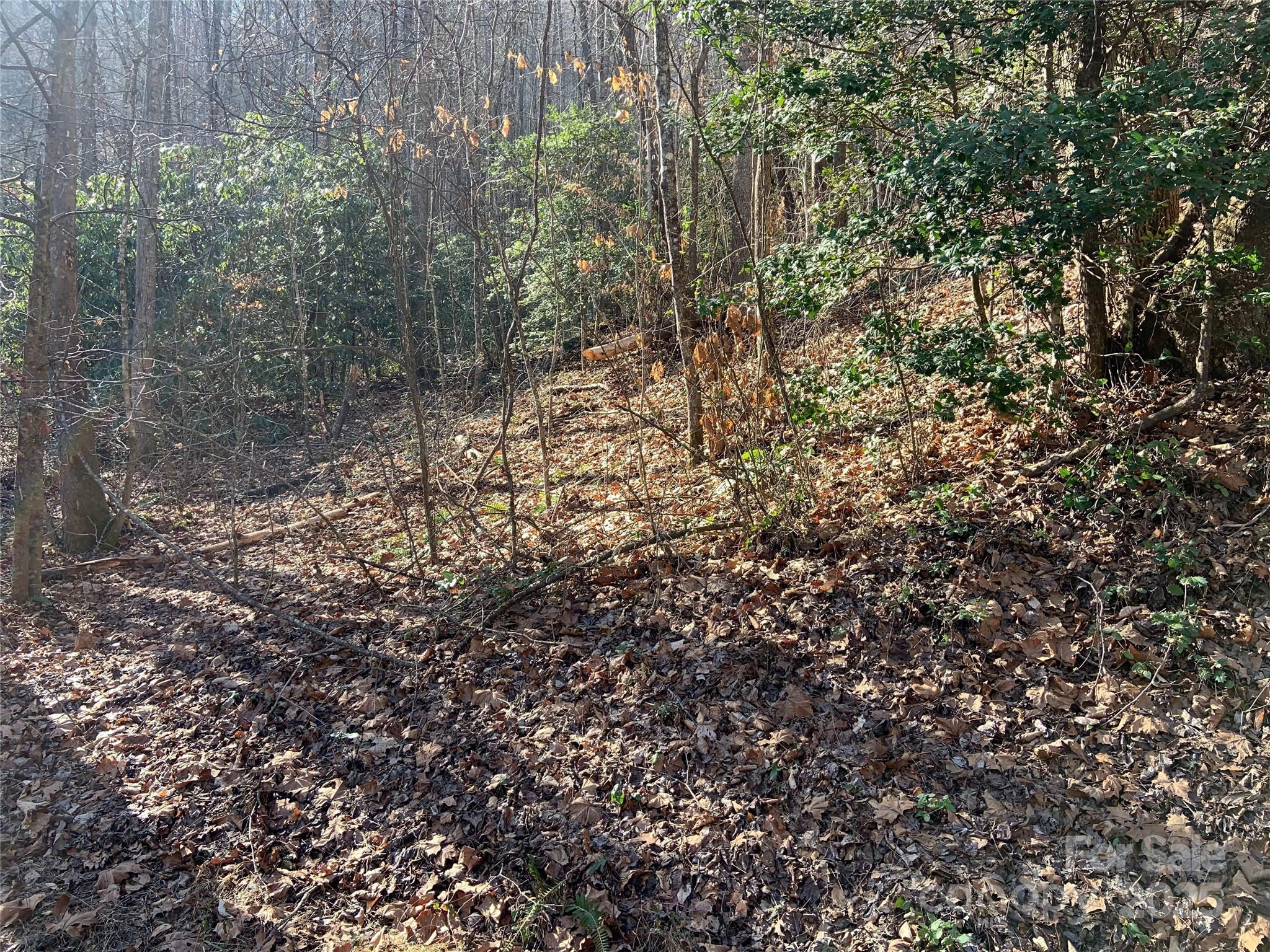 Trail 6 Little Bit Trail Whittier NC 28789