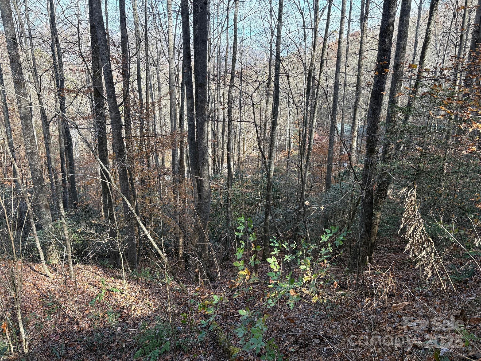 Trail 6 Little Bit Trail Whittier NC 28789