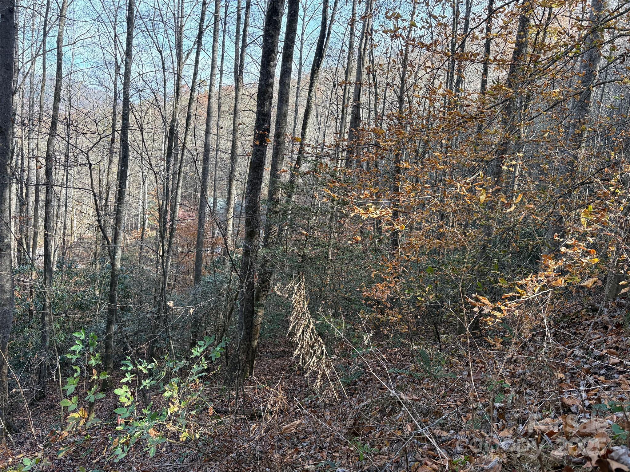 Trail 6 Little Bit Trail Whittier NC 28789