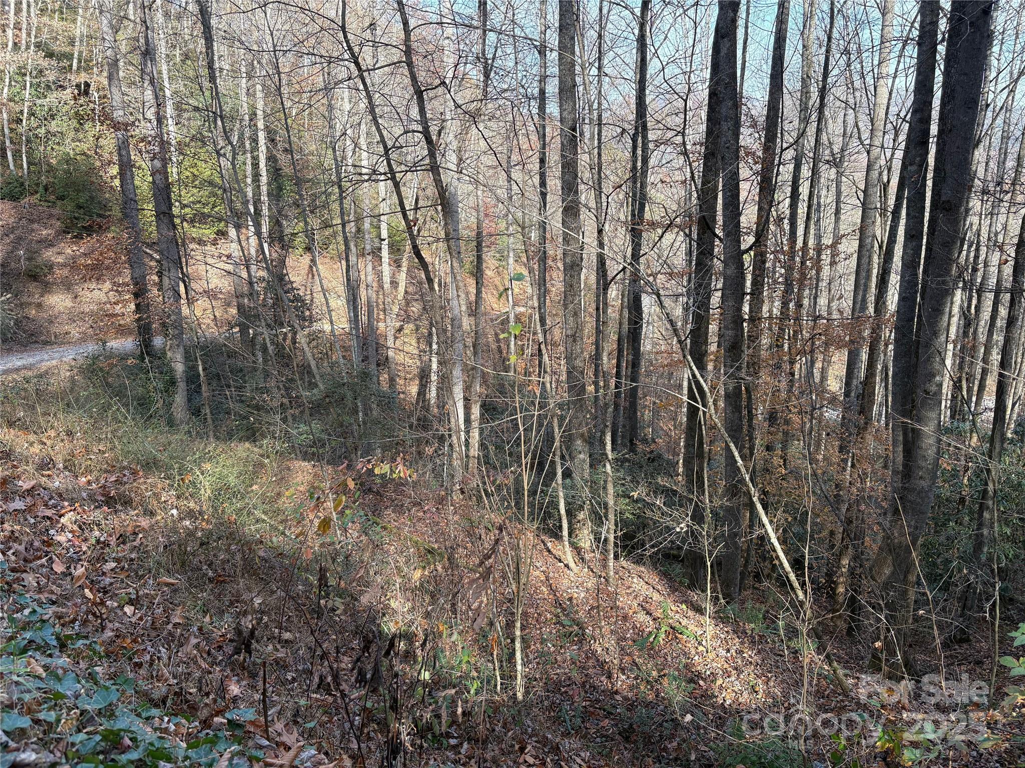 Trail 6 Little Bit Trail Whittier NC 28789