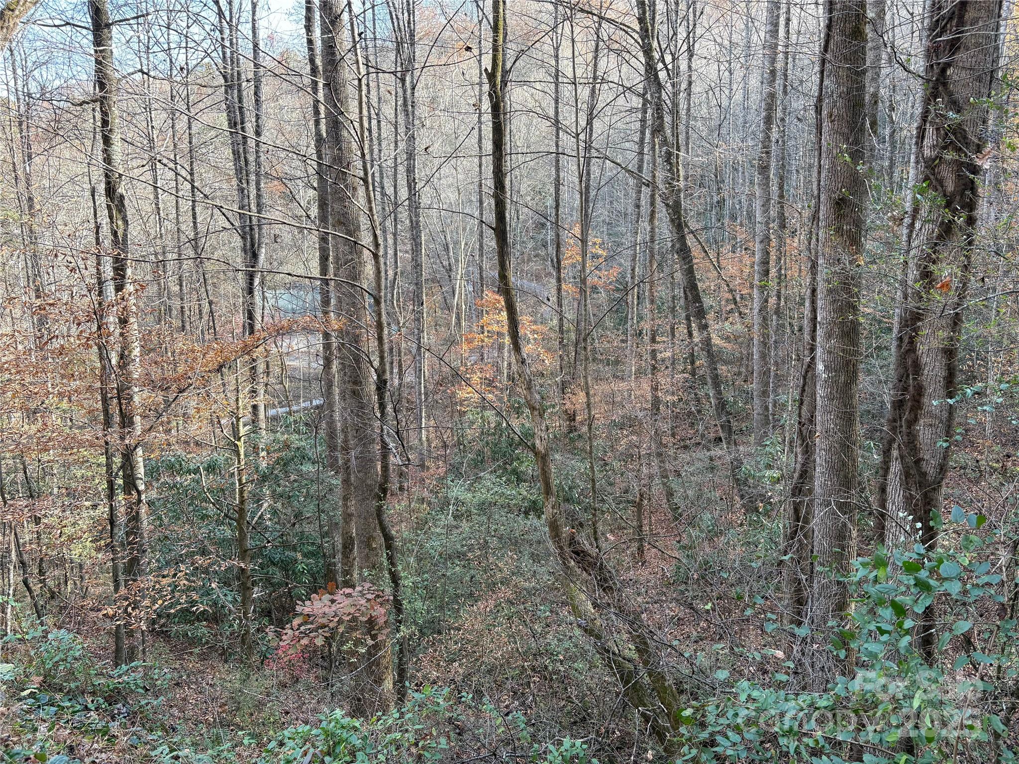 Trail 6 Little Bit Trail Whittier NC 28789