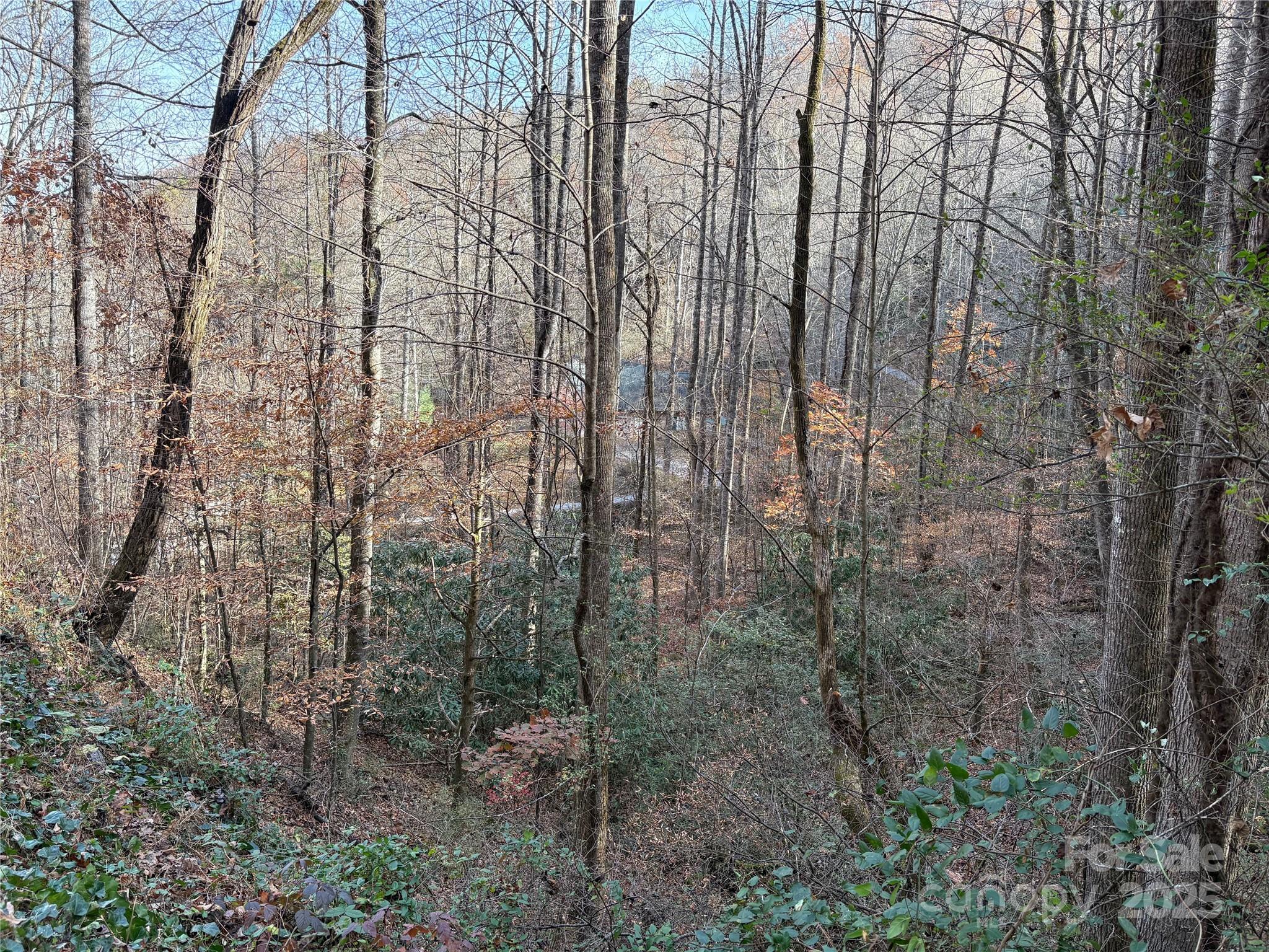 Trail 6 Little Bit Trail Whittier NC 28789