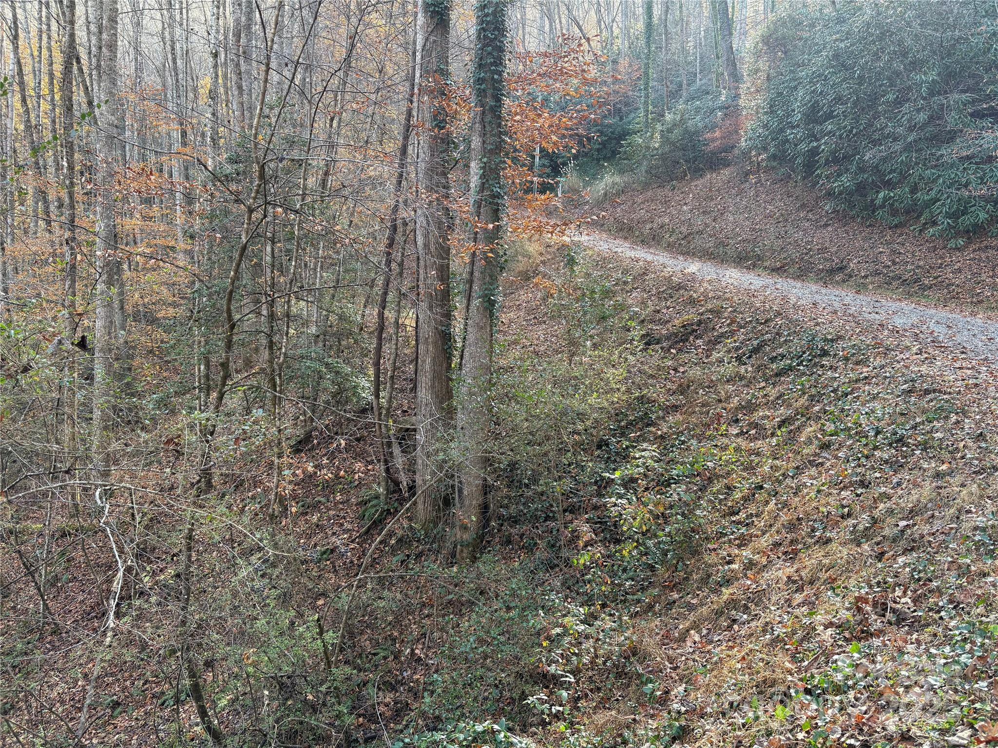 Trail 6 Little Bit Trail Whittier NC 28789