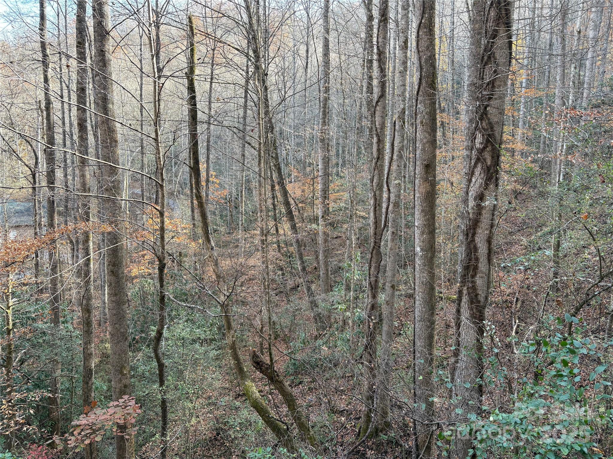 Trail 6 Little Bit Trail Whittier NC 28789