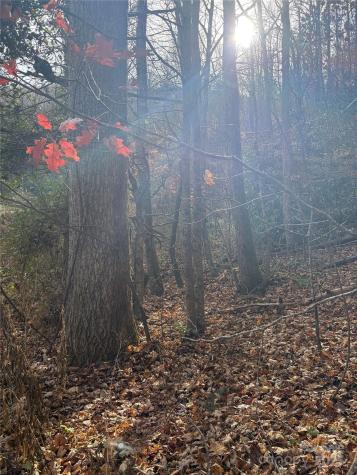 Trail 6 Little Bit Trail Whittier NC 28789