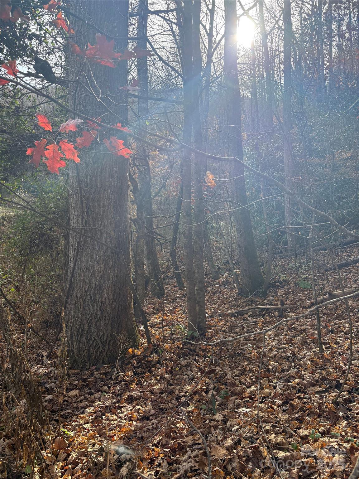 Trail 6 Little Bit Trail Whittier NC 28789