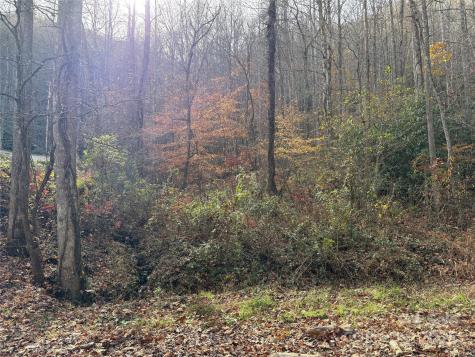 Trail 6 Little Bit Trail Whittier NC 28789