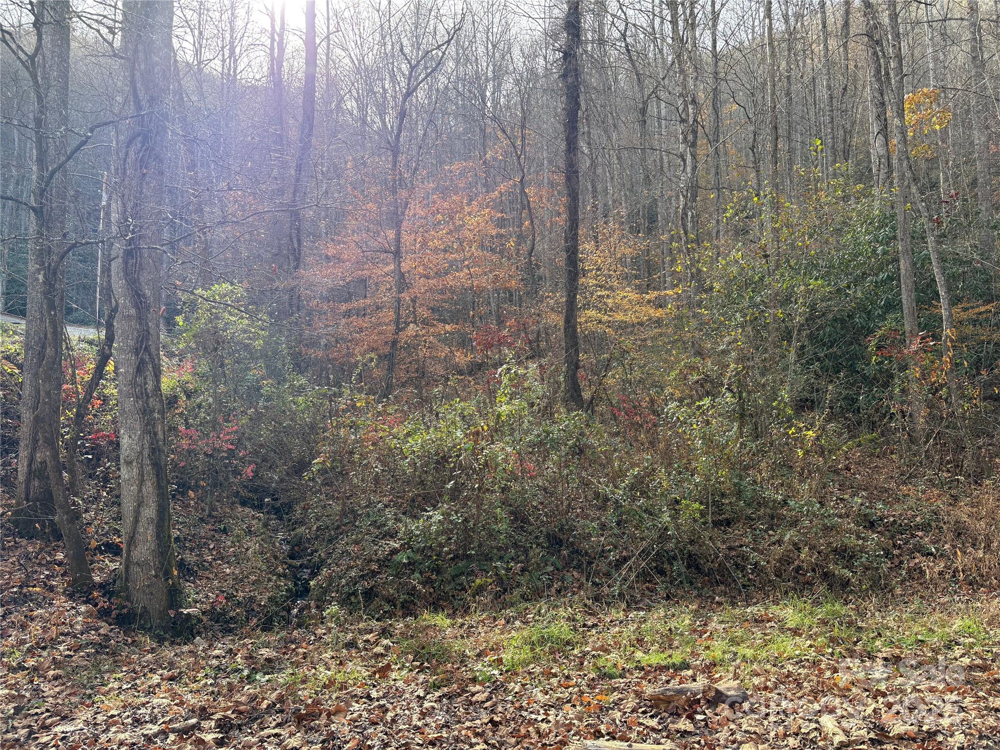 Trail 6 Little Bit Trail Whittier NC 28789