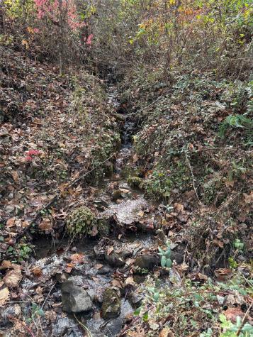 Trail 6 Little Bit Trail Whittier NC 28789