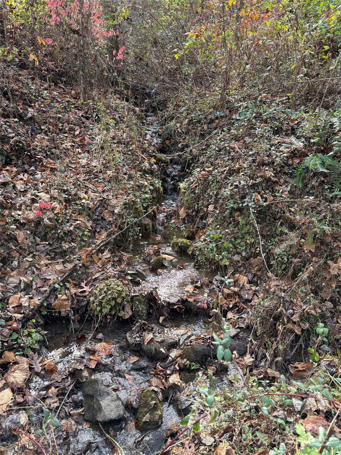 Trail 6 Little Bit Trail Whittier NC 28789