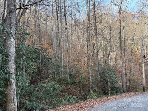 Trail 6 Little Bit Trail Whittier NC 28789