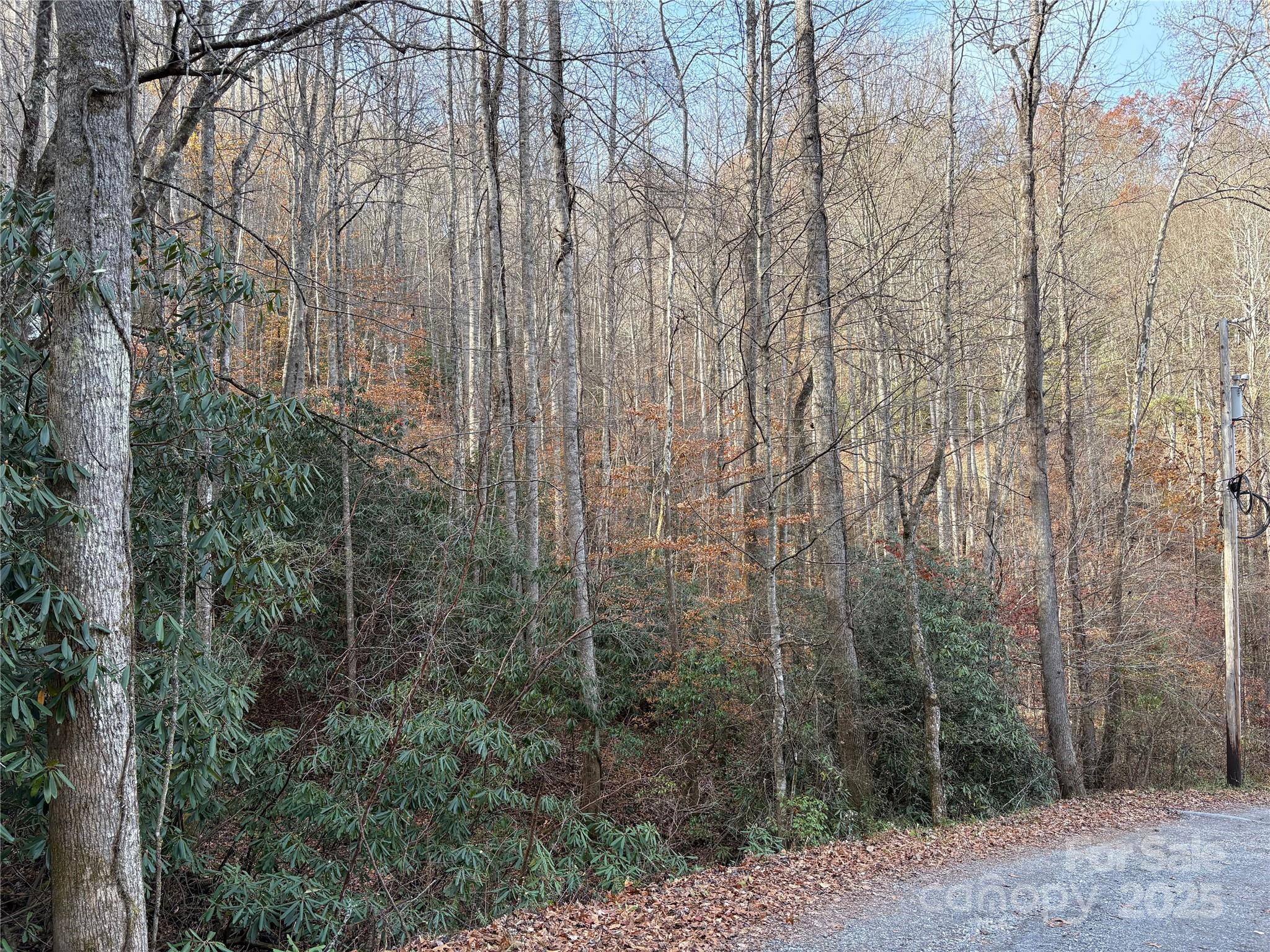 Trail 6 Little Bit Trail Whittier NC 28789