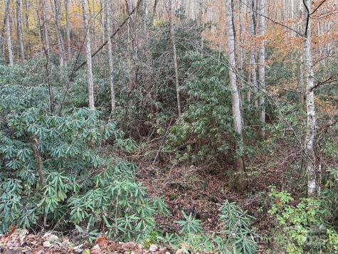 Trail 6 Little Bit Trail Whittier NC 28789