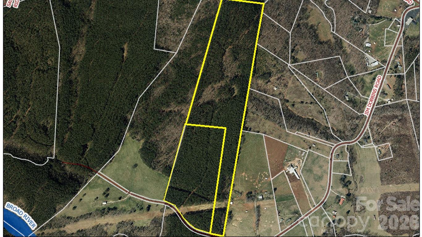 0 Jim Dobbins Road Rutherfordton NC 28139