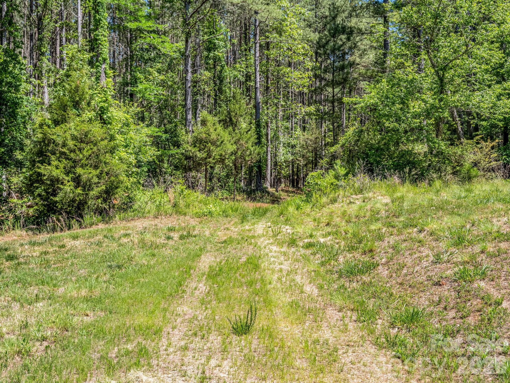 0 Jim Dobbins Road Rutherfordton NC 28139