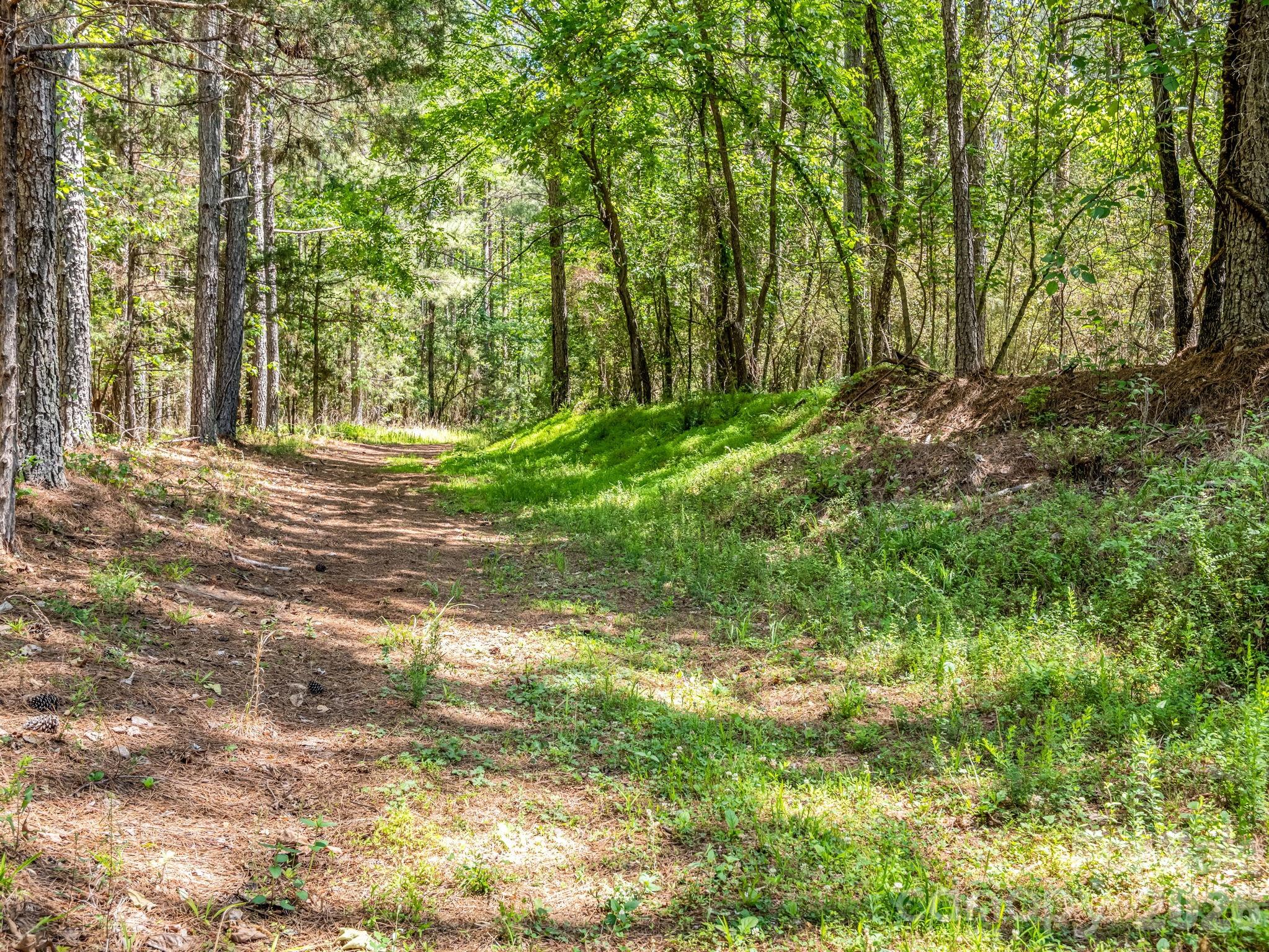 0 Jim Dobbins Road Rutherfordton NC 28139