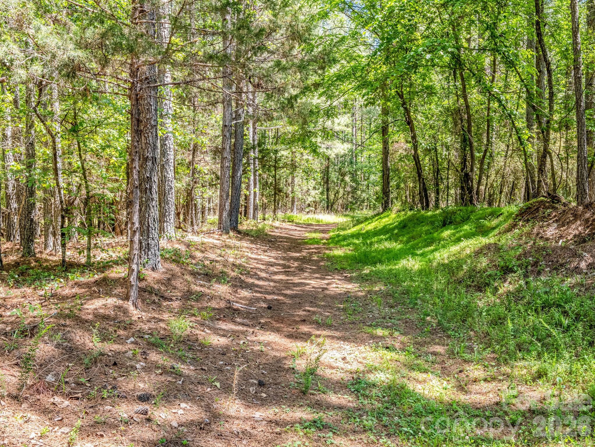0 Jim Dobbins Road Rutherfordton NC 28139