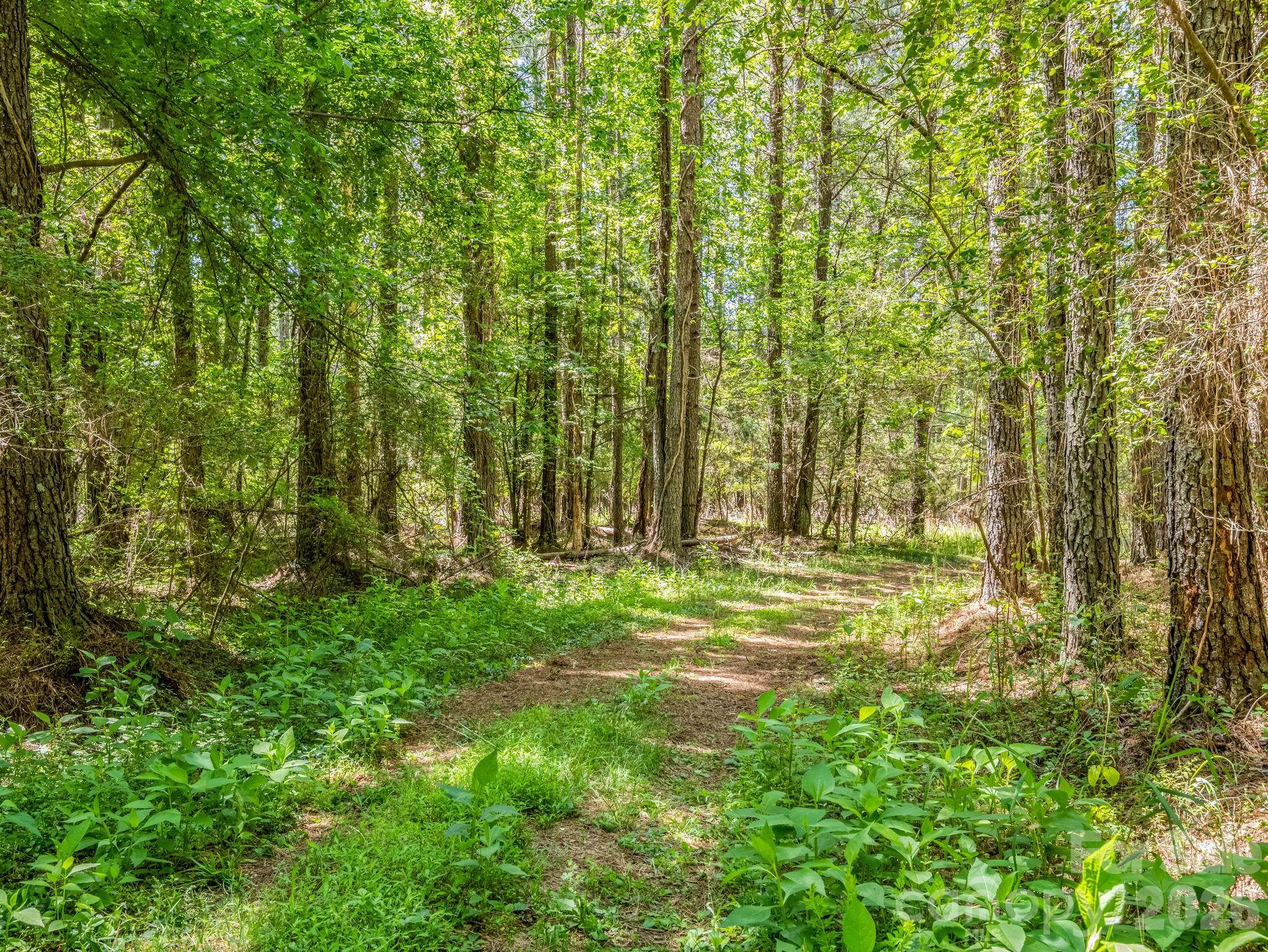 0 Jim Dobbins Road Rutherfordton NC 28139