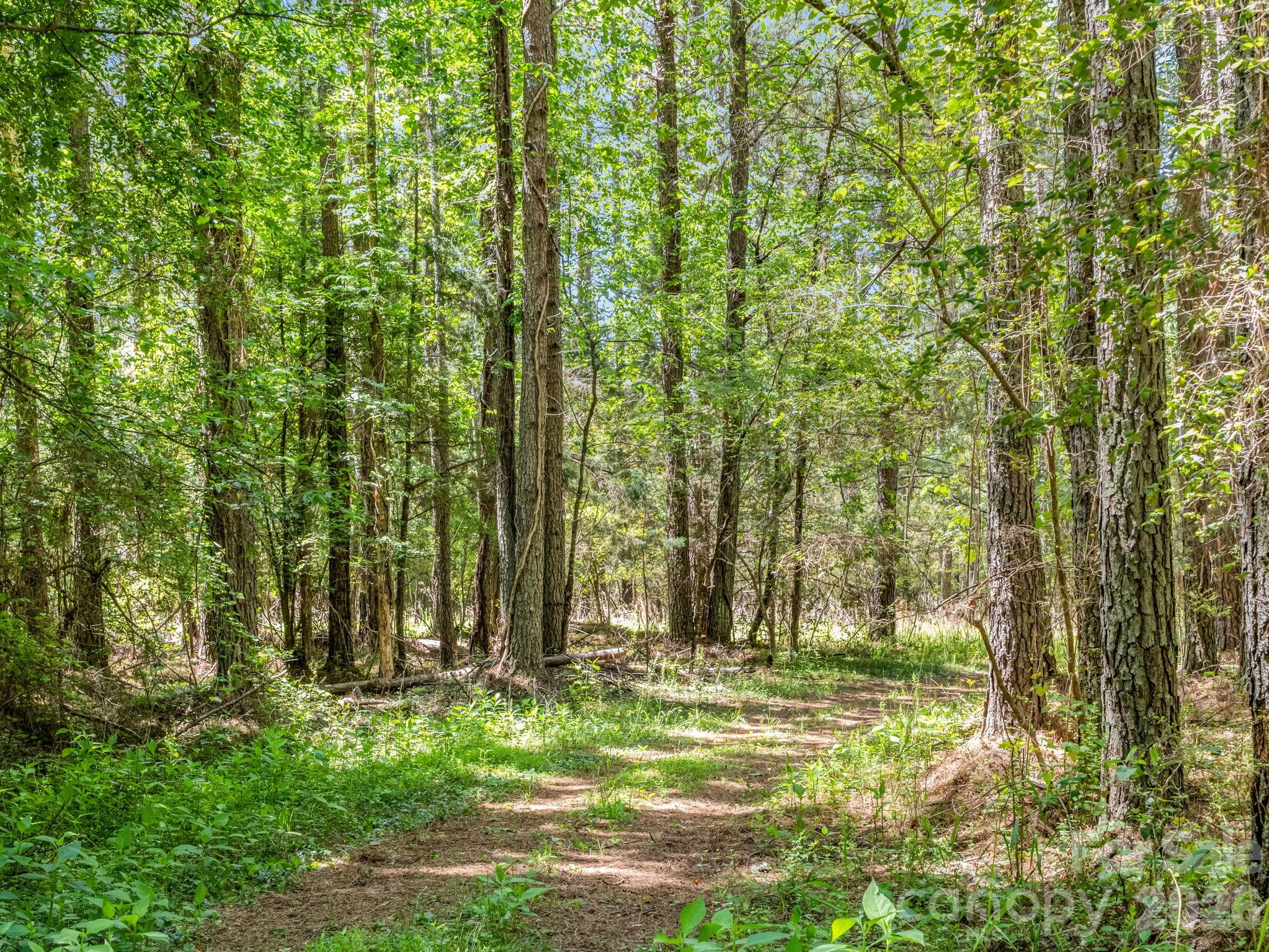 0 Jim Dobbins Road Rutherfordton NC 28139