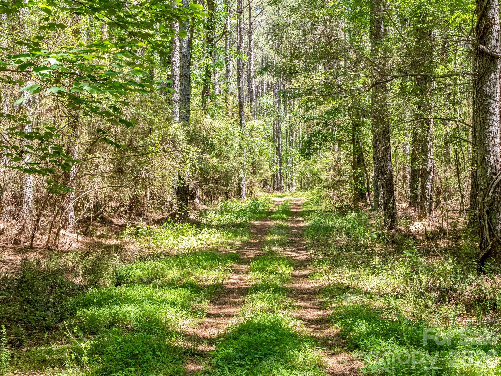 0 Jim Dobbins Road Rutherfordton NC 28139