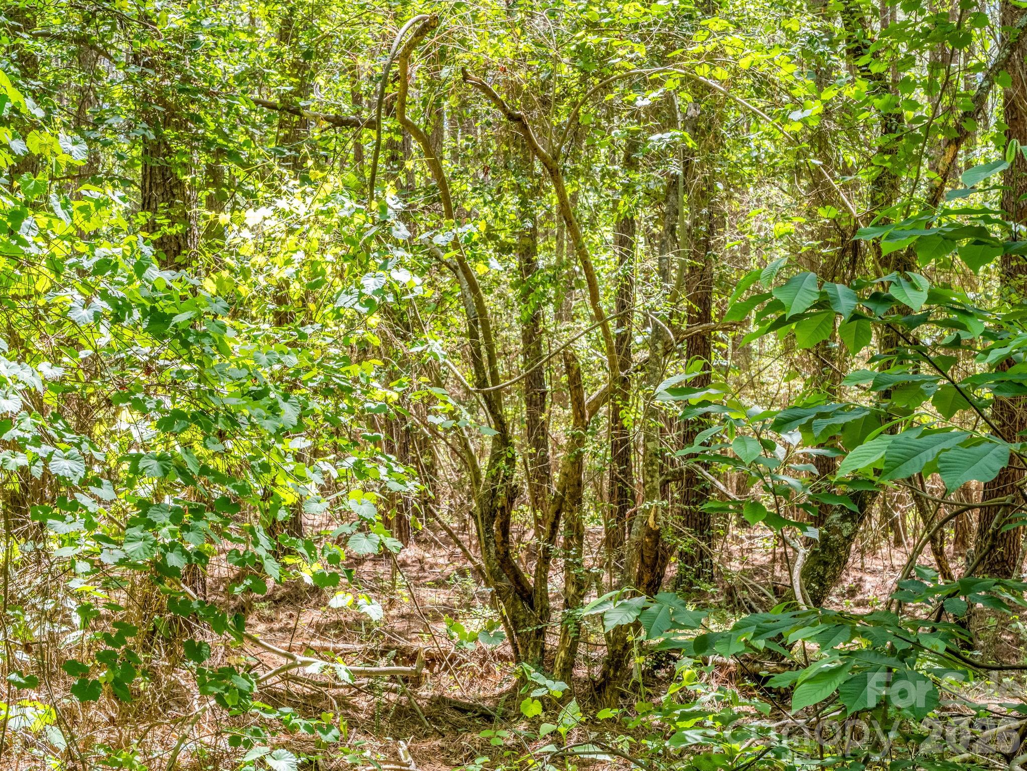 0 Jim Dobbins Road Rutherfordton NC 28139