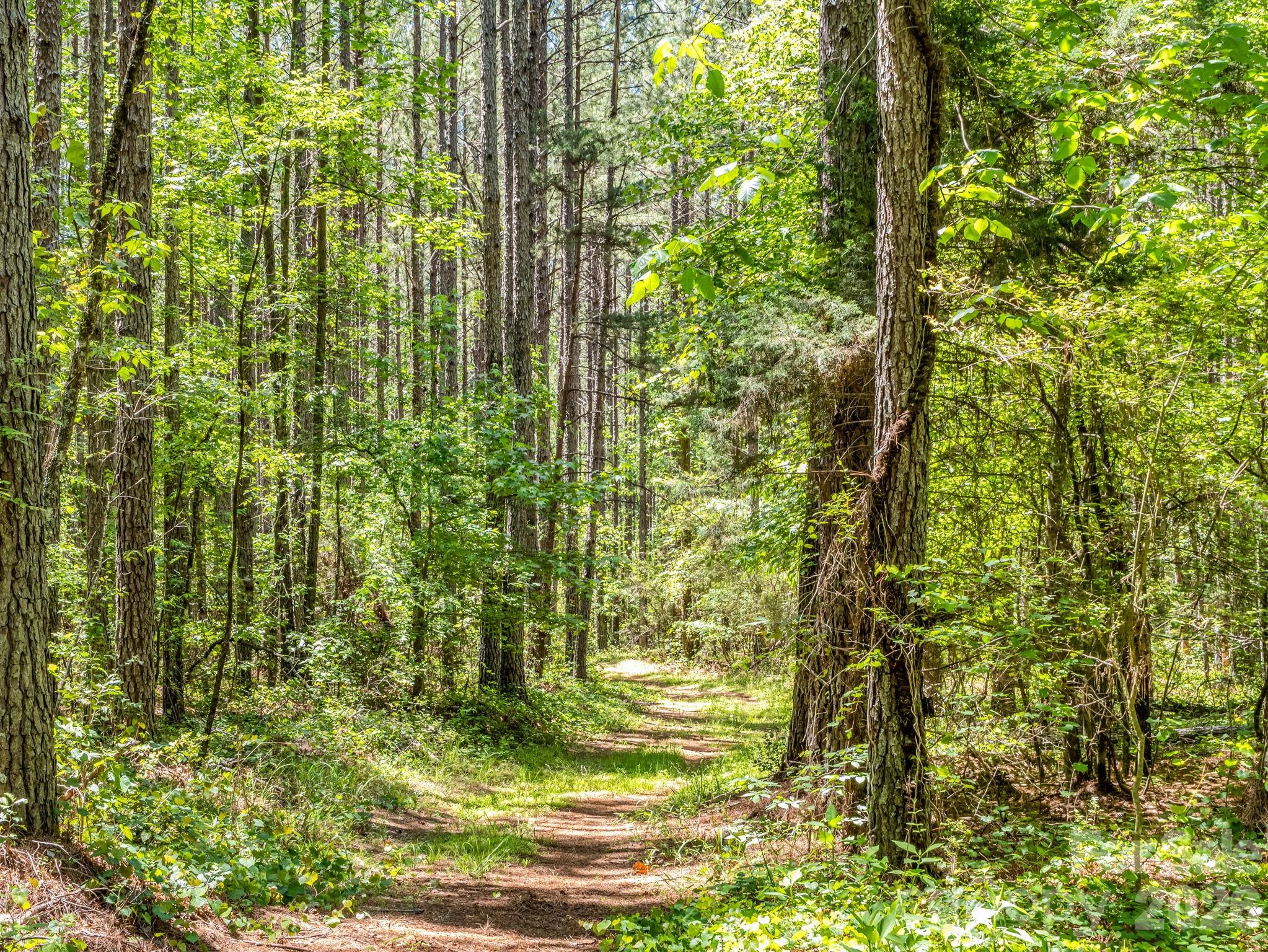 0 Jim Dobbins Road Rutherfordton NC 28139