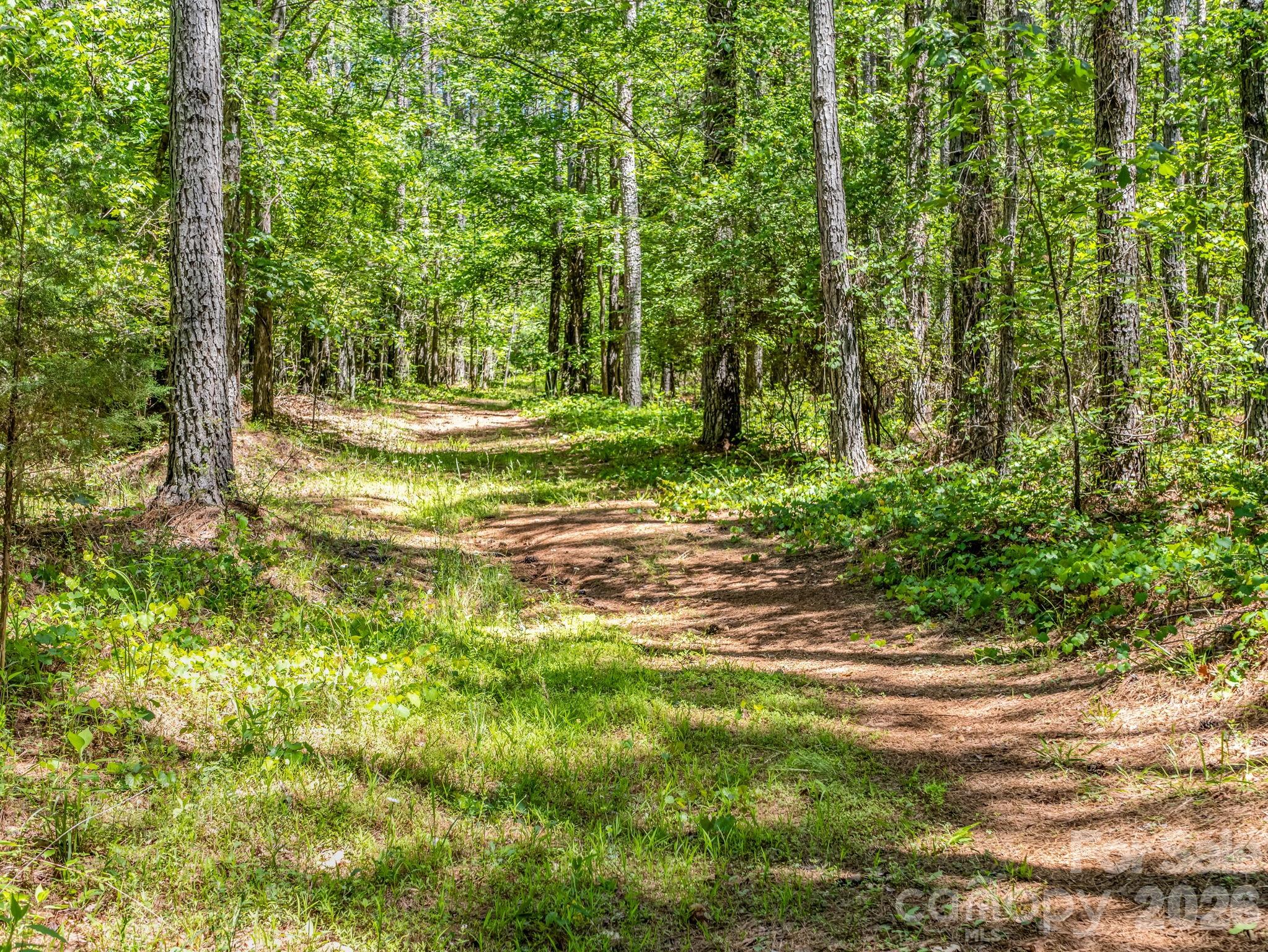 0 Jim Dobbins Road Rutherfordton NC 28139