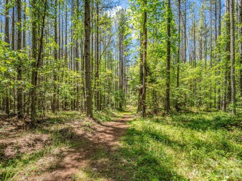 0 Jim Dobbins Road Rutherfordton NC 28139