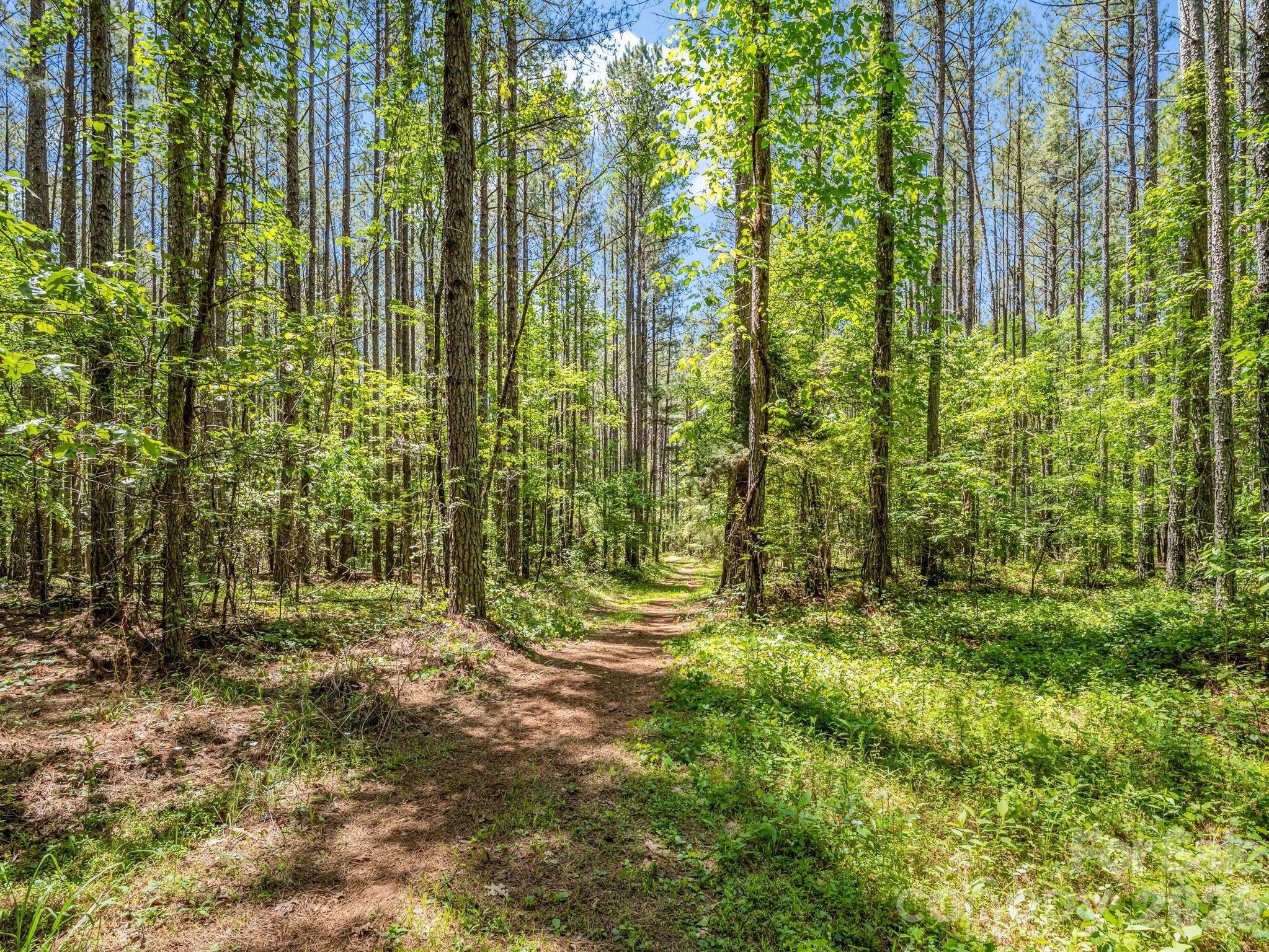 0 Jim Dobbins Road Rutherfordton NC 28139