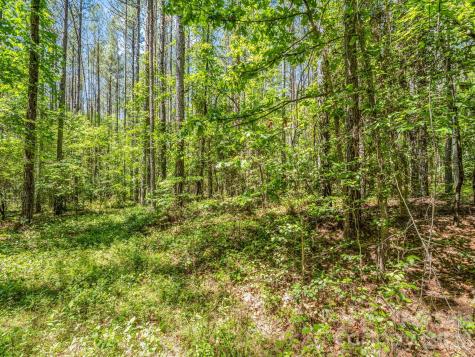 0 Jim Dobbins Road Rutherfordton NC 28139
