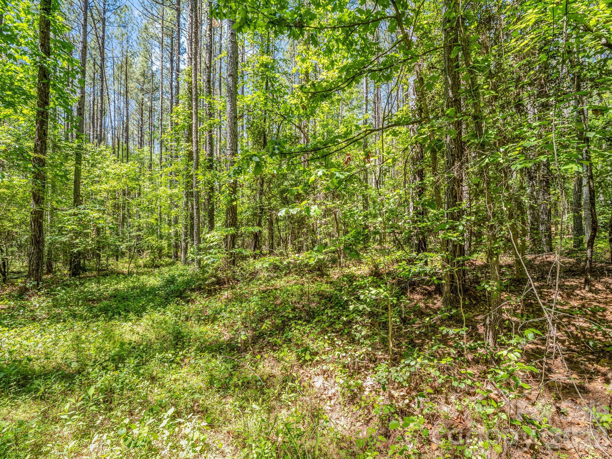 0 Jim Dobbins Road Rutherfordton NC 28139