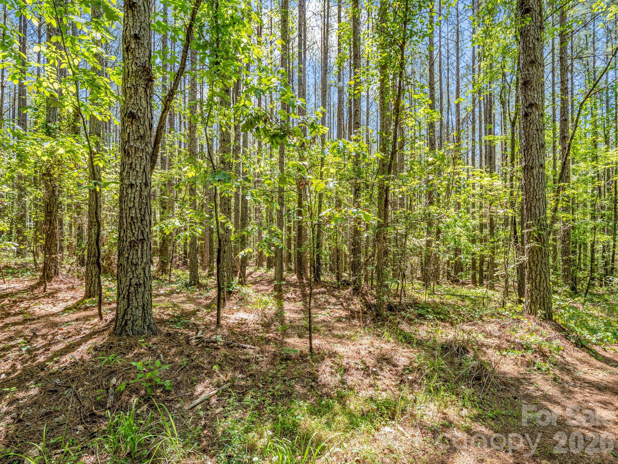 0 Jim Dobbins Road Rutherfordton NC 28139