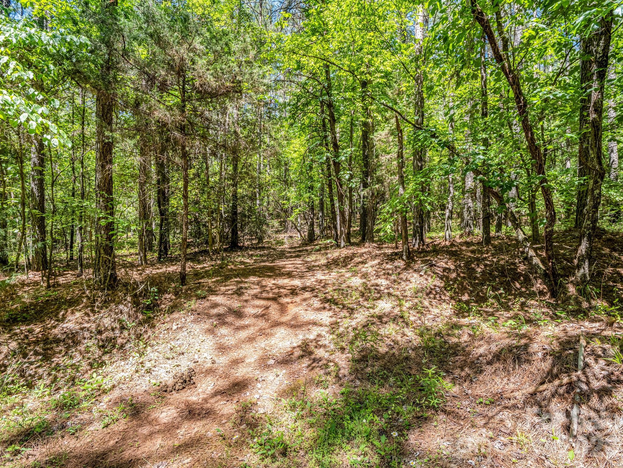 0 Jim Dobbins Road Rutherfordton NC 28139