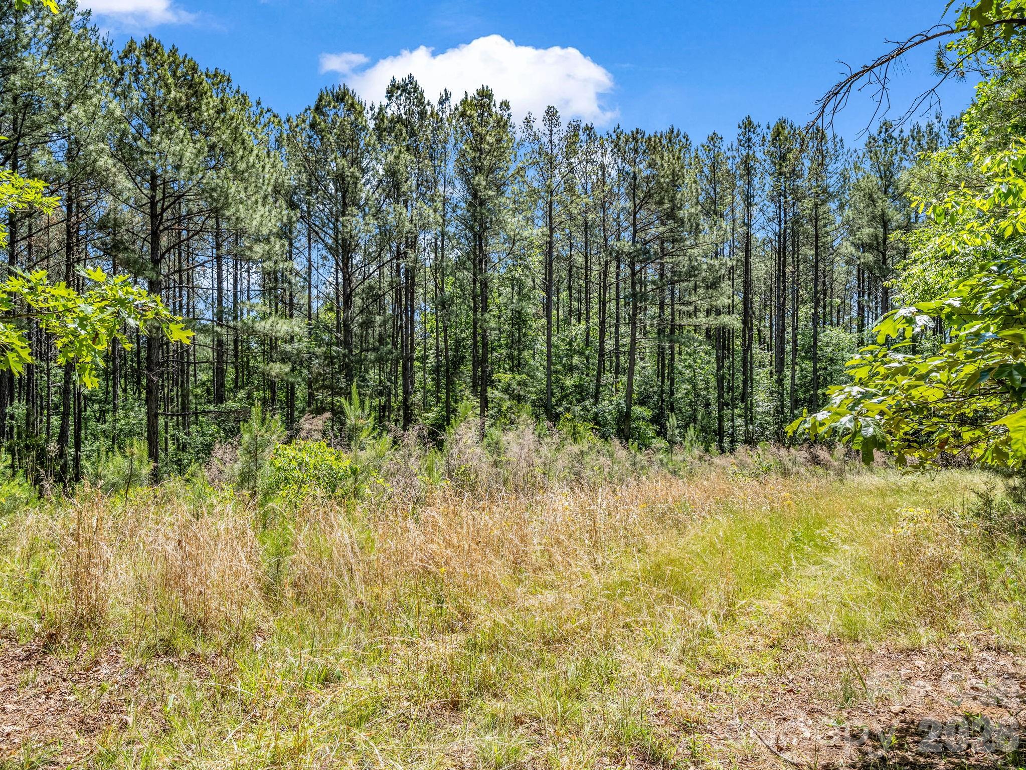 0 Jim Dobbins Road Rutherfordton NC 28139