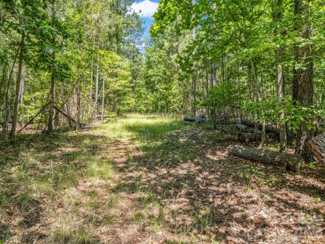 0 Jim Dobbins Road Rutherfordton NC 28139