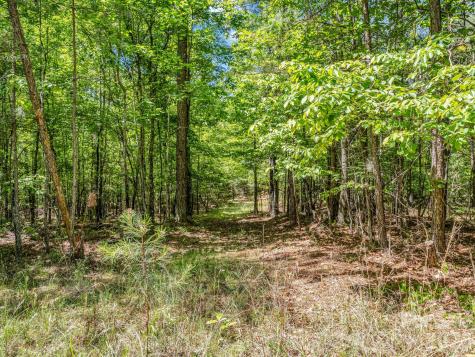 0 Jim Dobbins Road Rutherfordton NC 28139