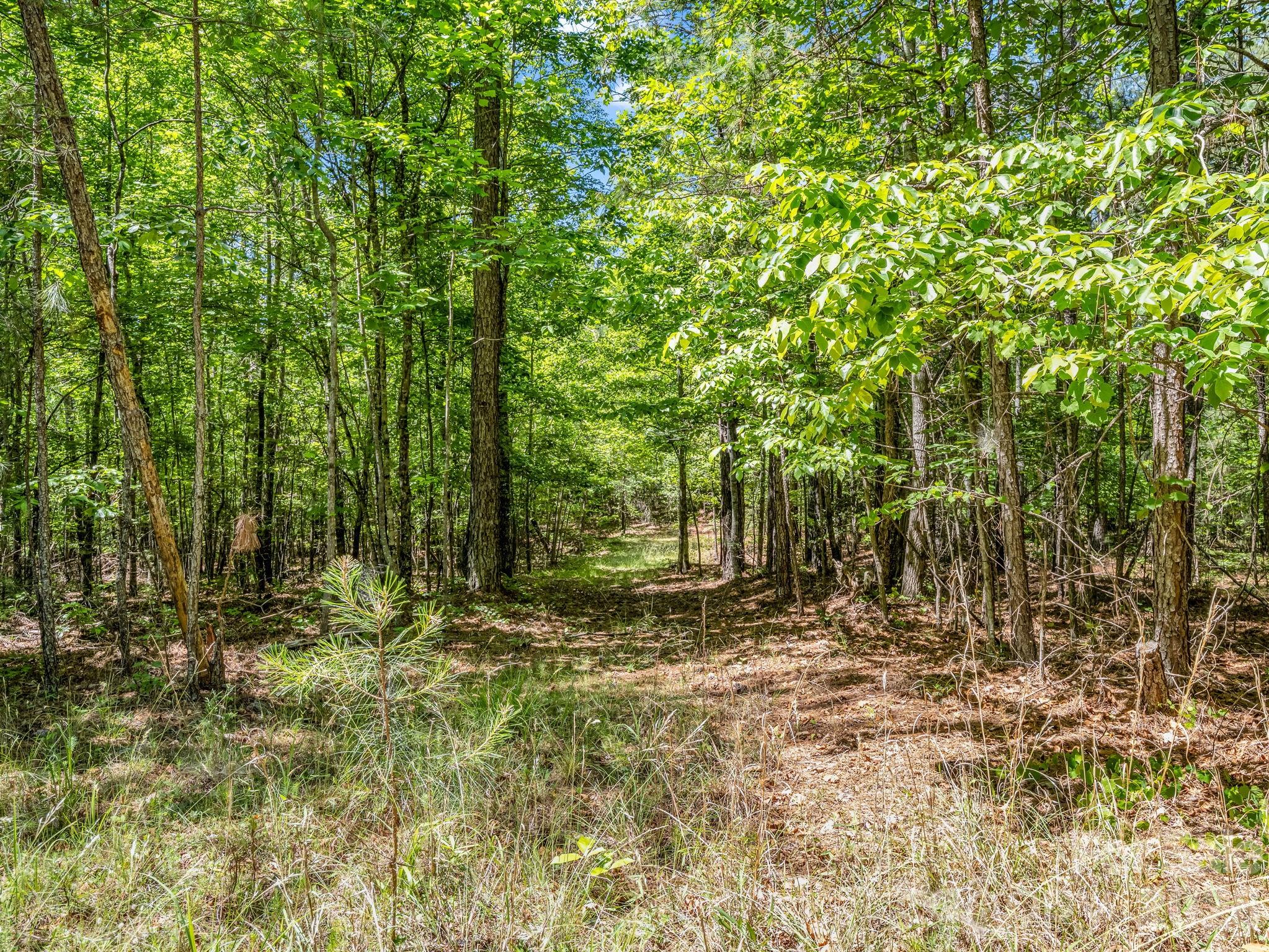 0 Jim Dobbins Road Rutherfordton NC 28139