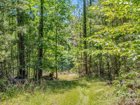 0 Jim Dobbins Road Rutherfordton NC 28139