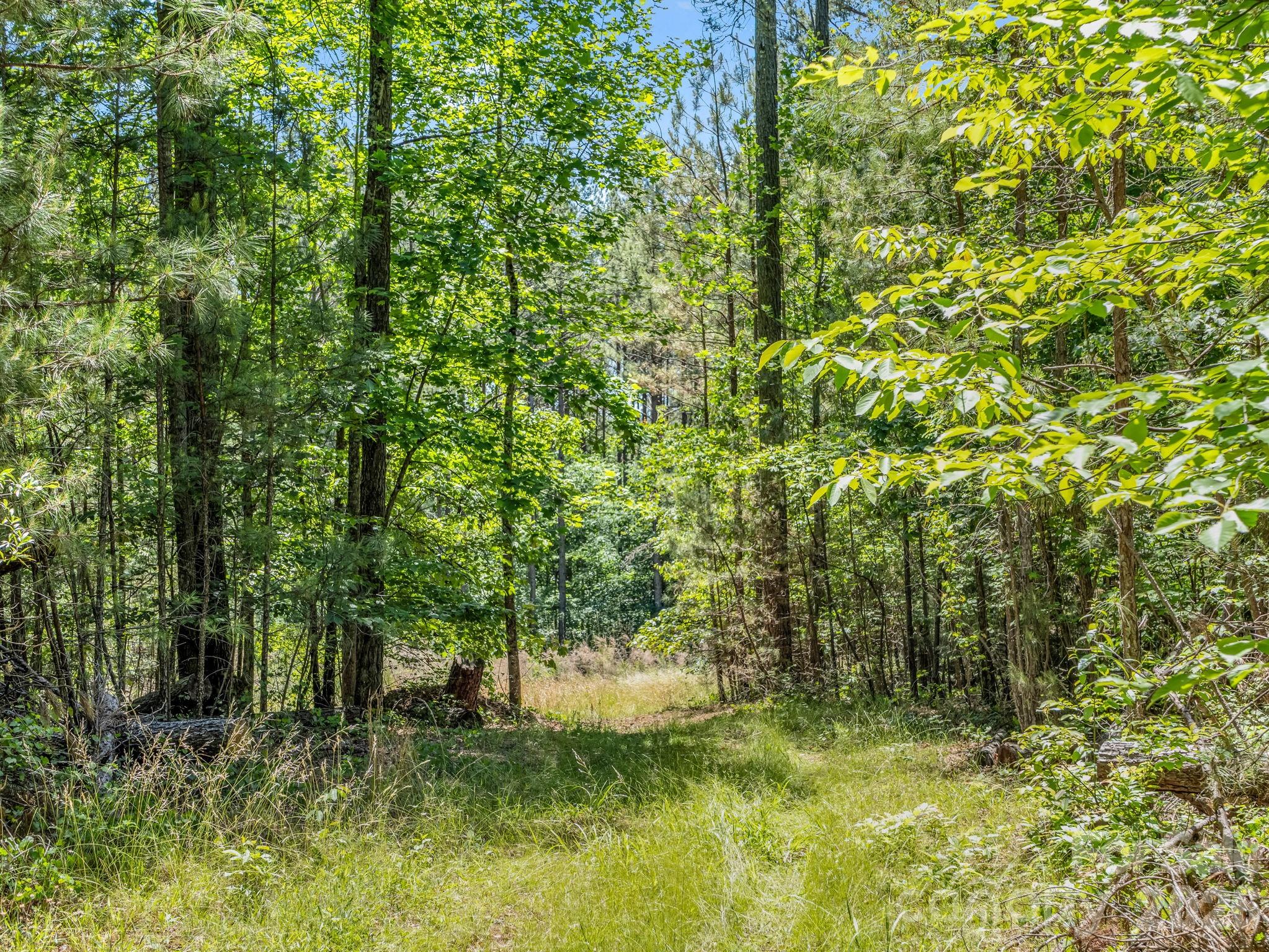 0 Jim Dobbins Road Rutherfordton NC 28139