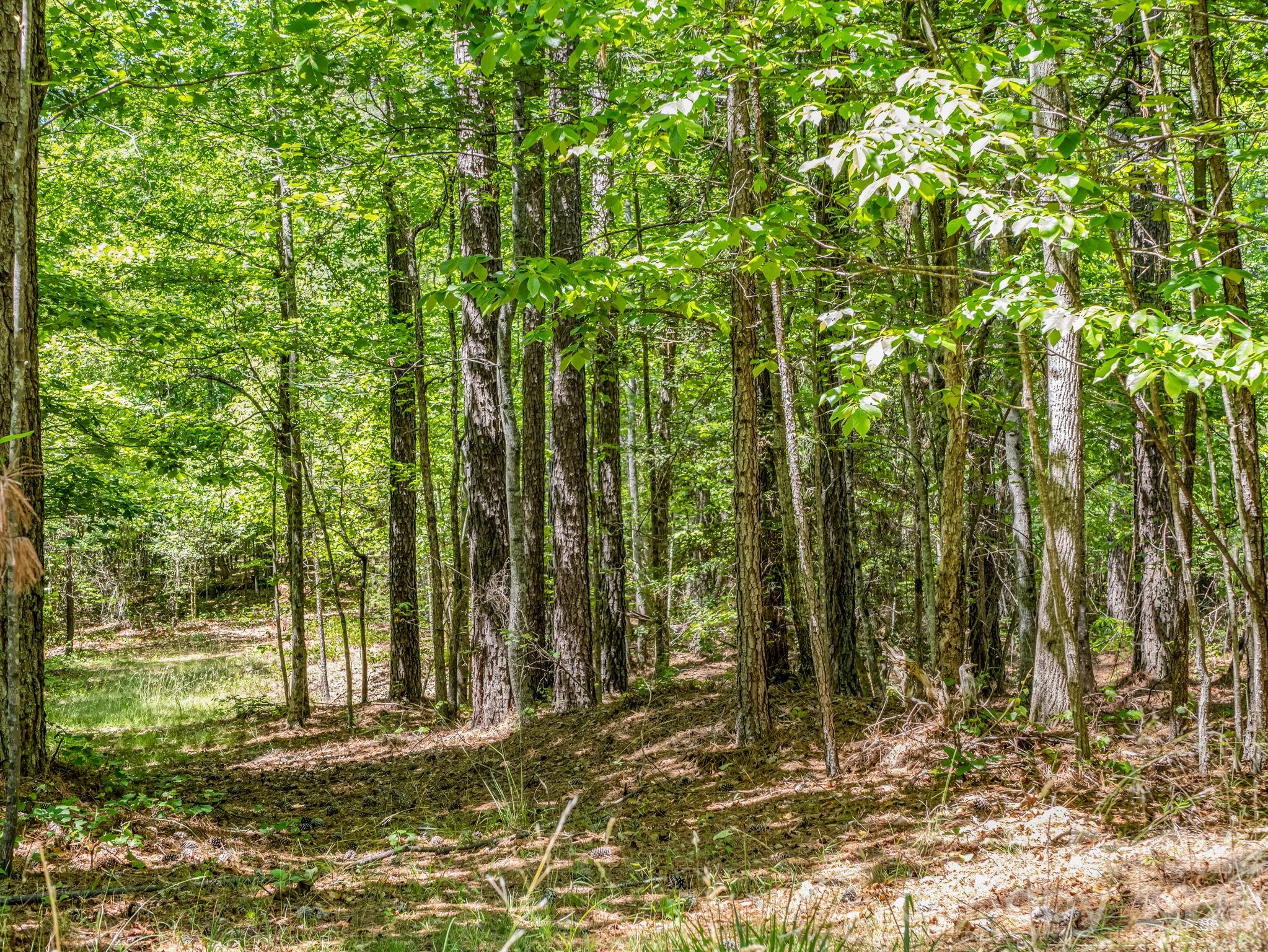 0 Jim Dobbins Road Rutherfordton NC 28139