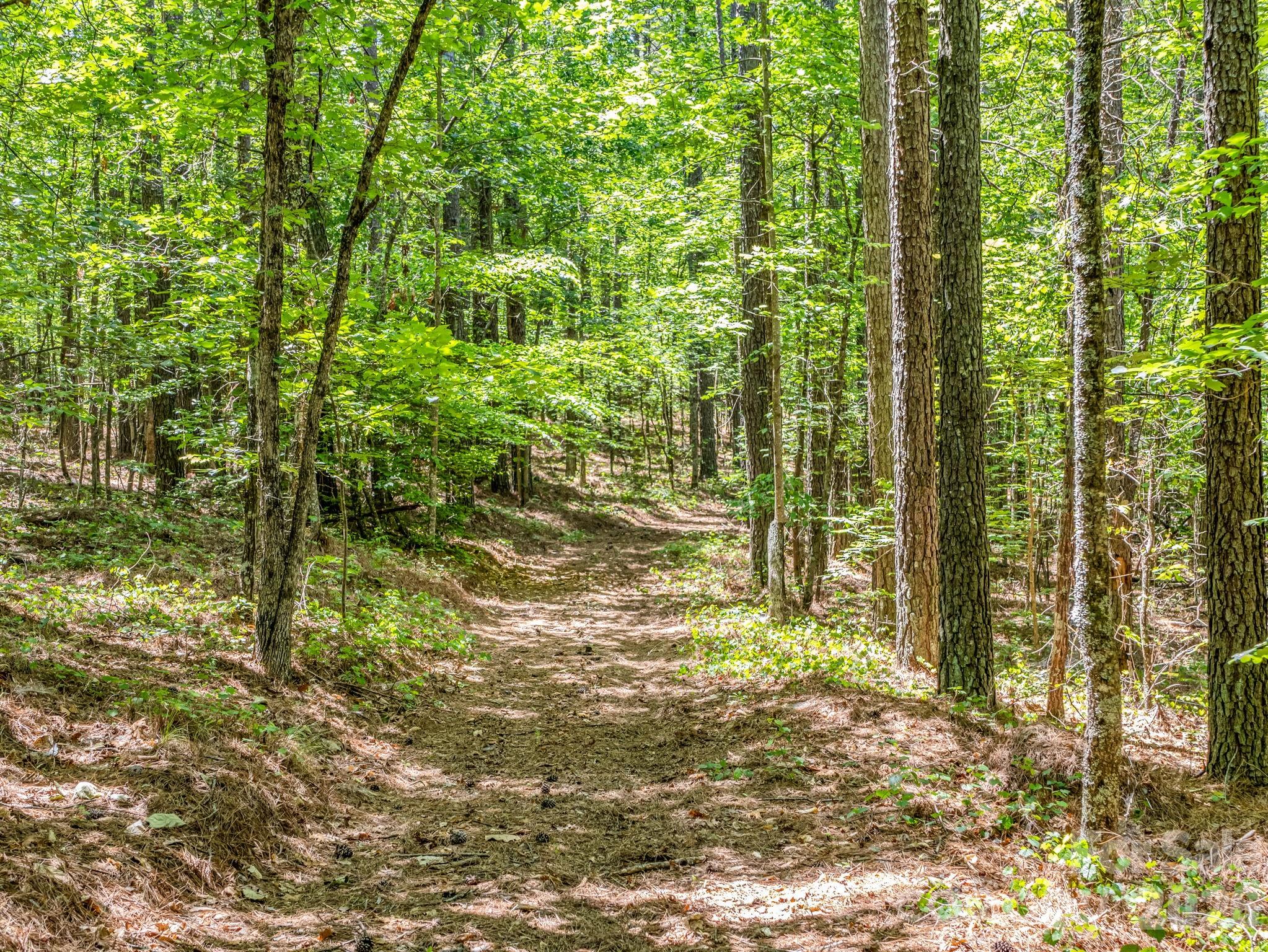 0 Jim Dobbins Road Rutherfordton NC 28139