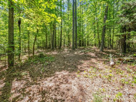 0 Jim Dobbins Road Rutherfordton NC 28139