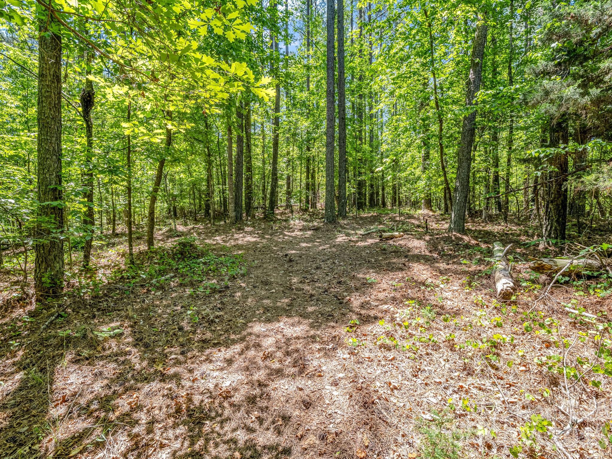 0 Jim Dobbins Road Rutherfordton NC 28139
