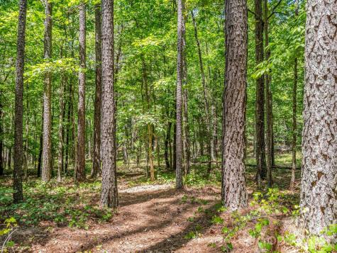 0 Jim Dobbins Road Rutherfordton NC 28139