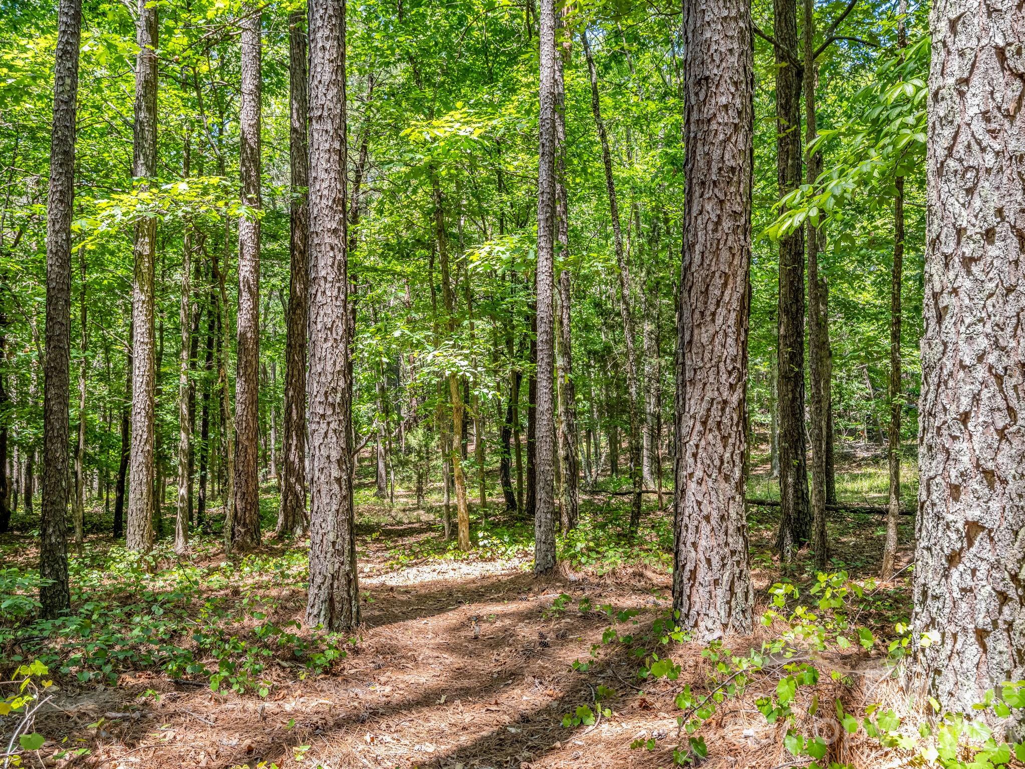 0 Jim Dobbins Road Rutherfordton NC 28139