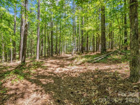 0 Jim Dobbins Road Rutherfordton NC 28139